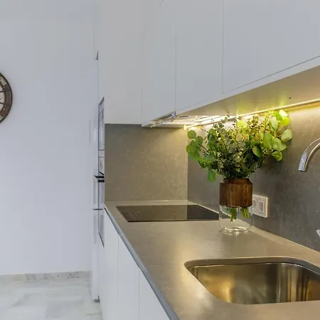 Apartamento Living4malaga Centre Premium *